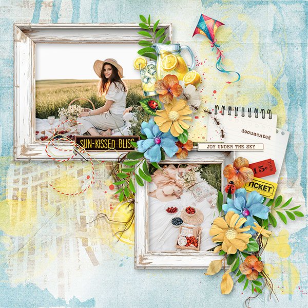 Summer Picnic