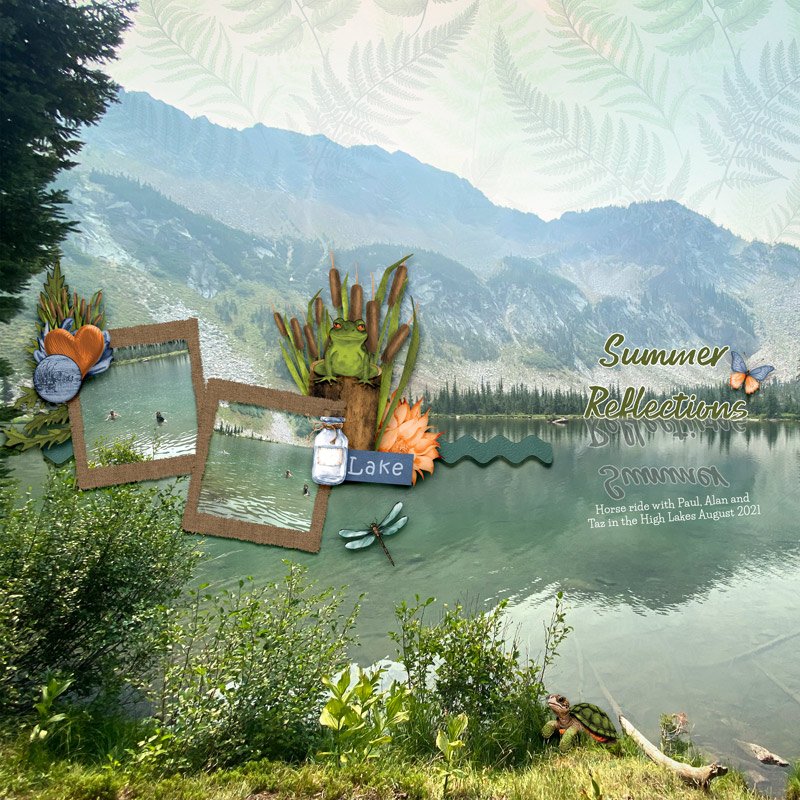 Summer reflection.jpg