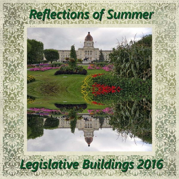 Summer Reflections