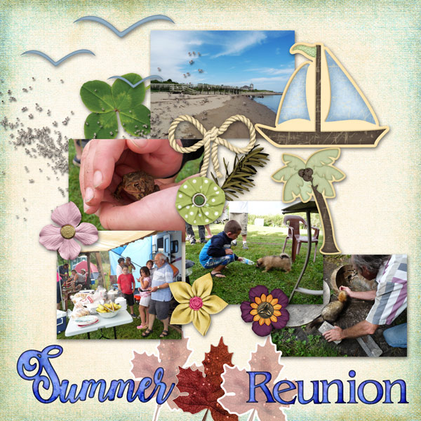 Summer Reunion