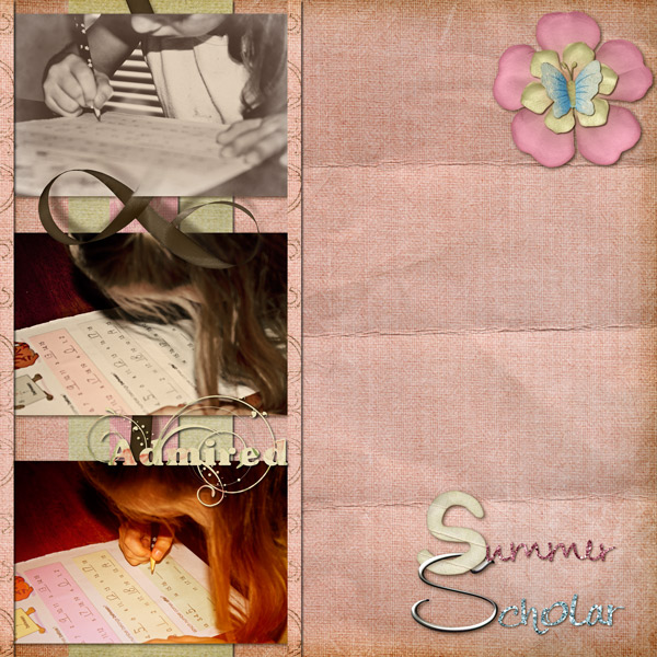 Summer Scholar