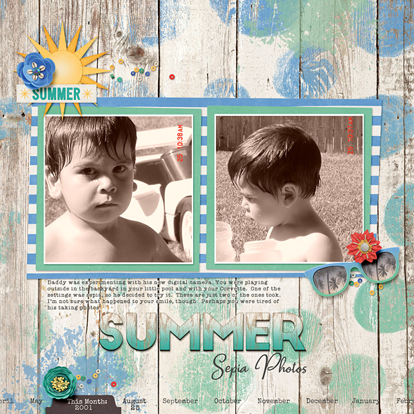 Summer Sepia Photos