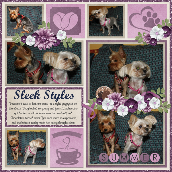 Summer Sleek Styles