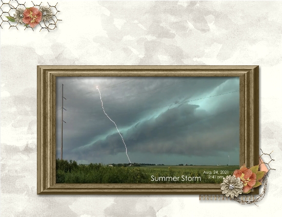 Summer Storm