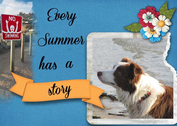 Summer Story
