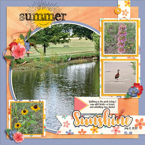 Summer Sunshine