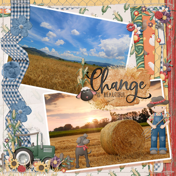 Summer To Autumn Change