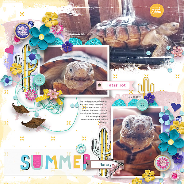 Summer Torties