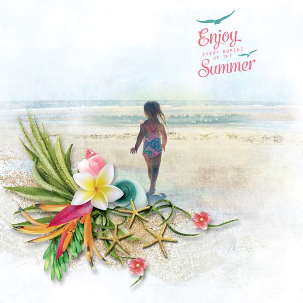 Summer Vibes