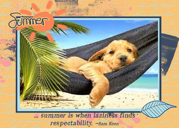 Summer