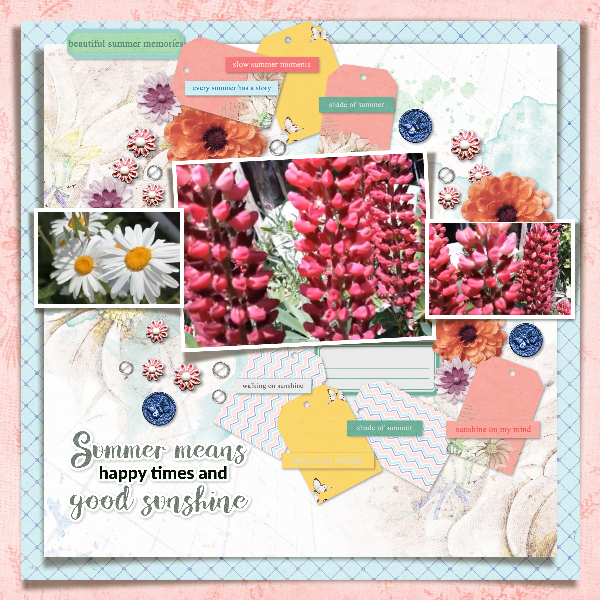 summer_flowers-