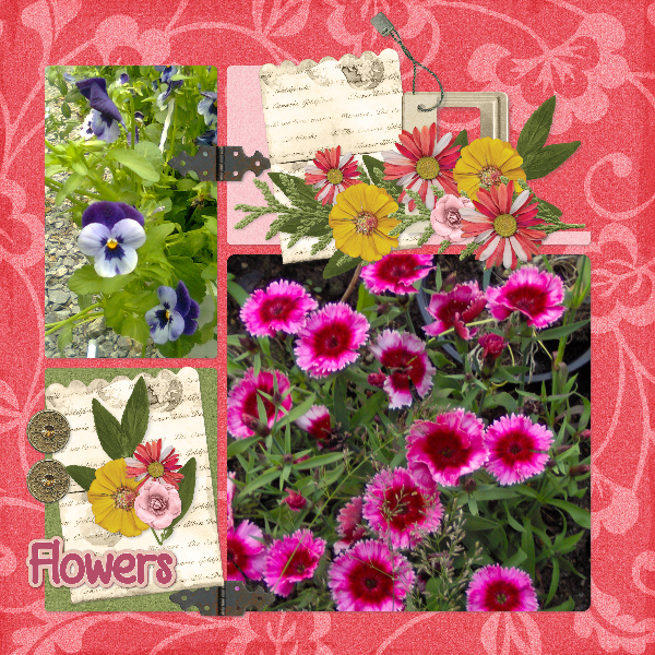 summer_garden2