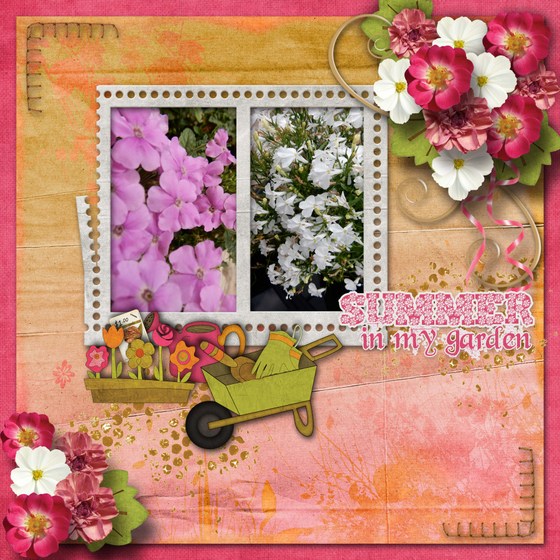 Summer_in_my_garden