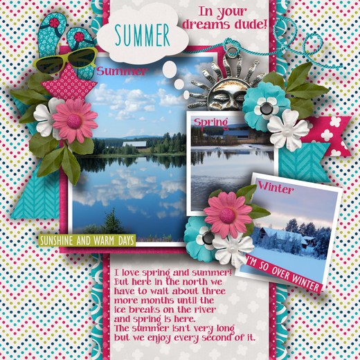 Summer_in_your_dreams_dude
