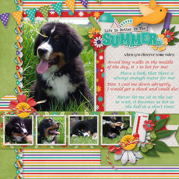 SummerRules