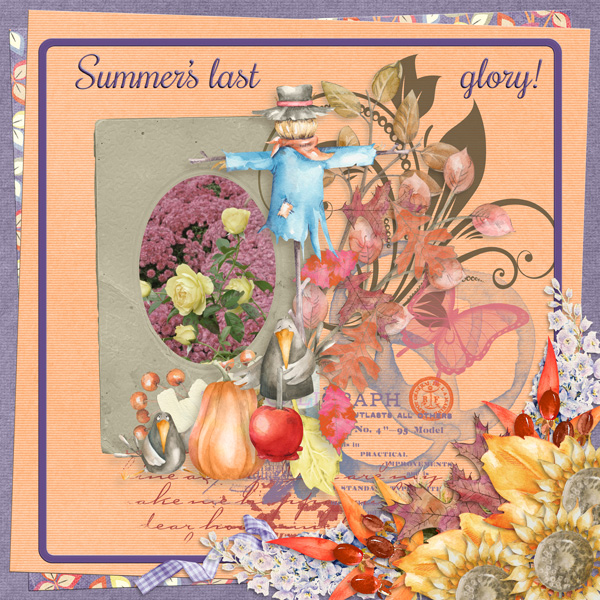 Summer's last glory!