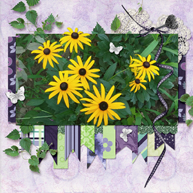 Summertime Blooms