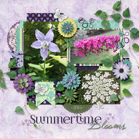 Summertime Blooms