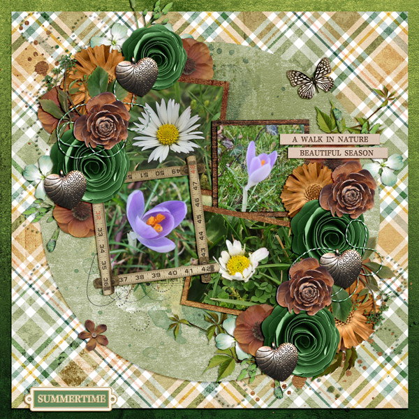 summertime flowers