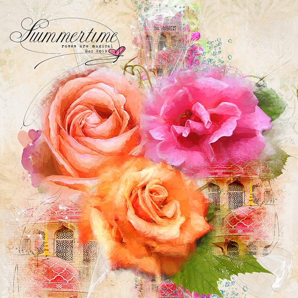 SUMMERTIME ROSES