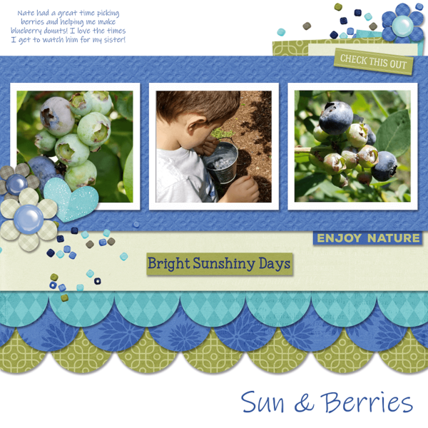 Sun + Berries