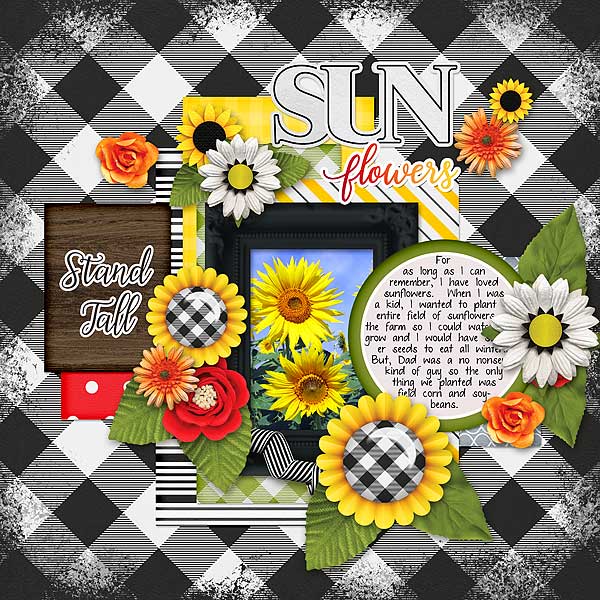 Sun Flowers