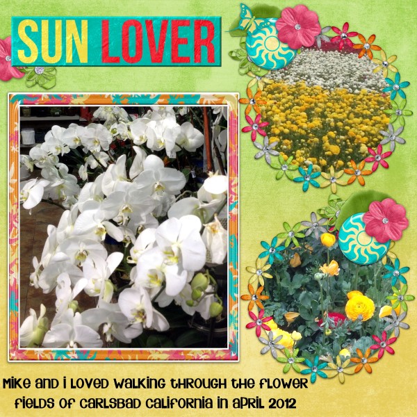 Sun Lovers