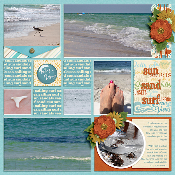 Sun Sand Surf