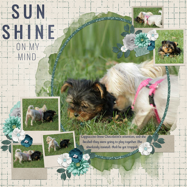 Sun Shine on My Mind