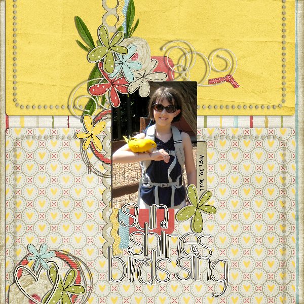sun shines, birds sing