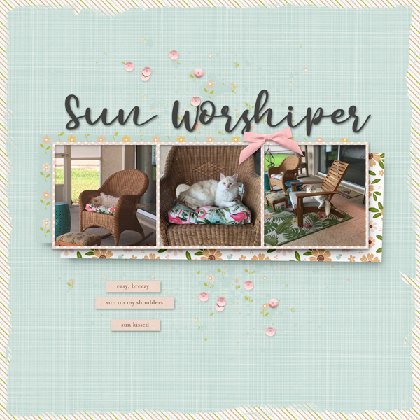 Sun Worshiper