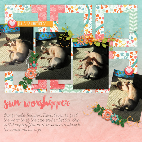 Sun Worshipper