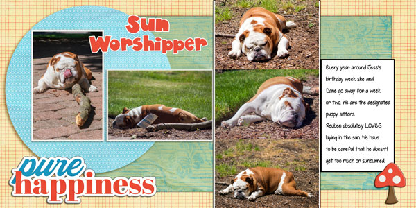 Sun Worshipper