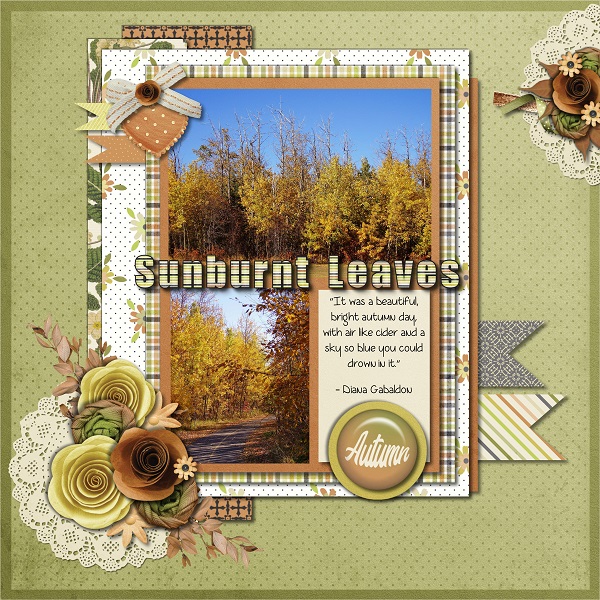 Sunburnt Leaves
