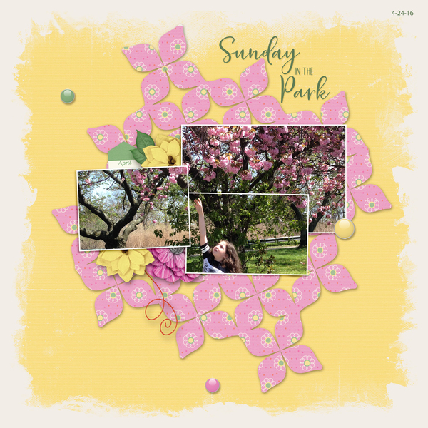 Sunday in the Park
