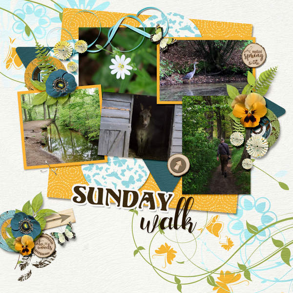 Sunday walk