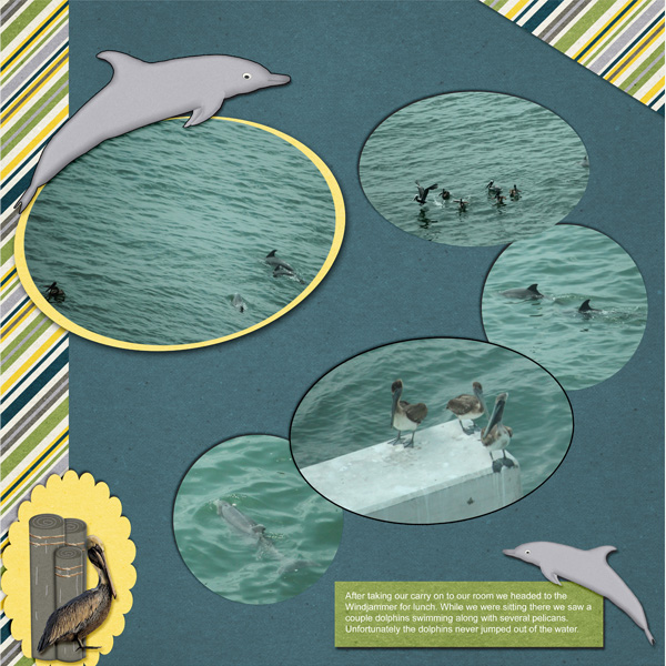 Sunday_Dolphins