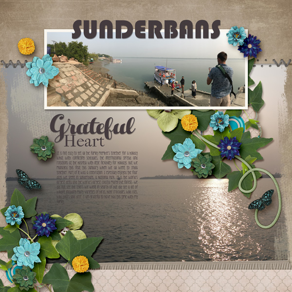 Sunderbans