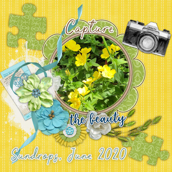 Sundrops