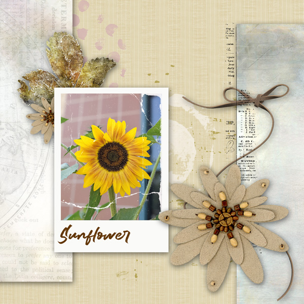 Sunflower at work