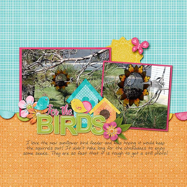 Sunflower Bird Feeder