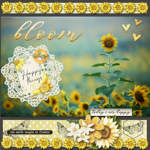 Sunflower Bloom