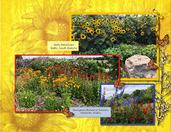 Sunflower Brush Challenge