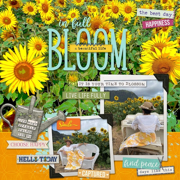 Sunflower Day