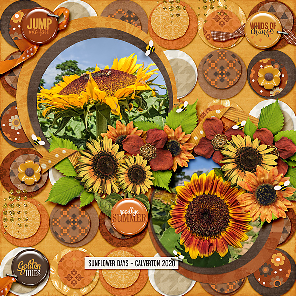 Sunflower Days