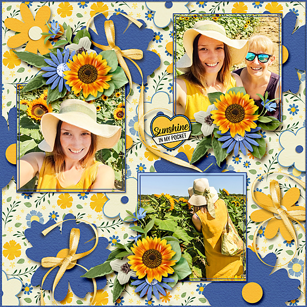 Sunflower Days