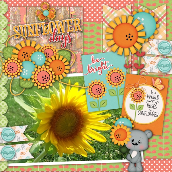Sunflower Days
