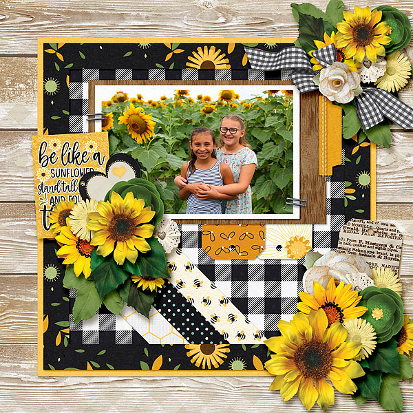 Sunflower Days
