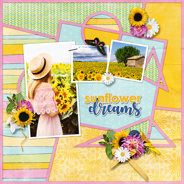Sunflower dream