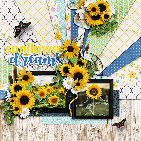 Sunflower Dream